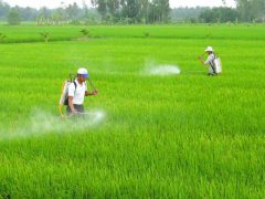Ô nhiễm môi trường trong nông nghiệp: Trầm trọng và đáng báo động