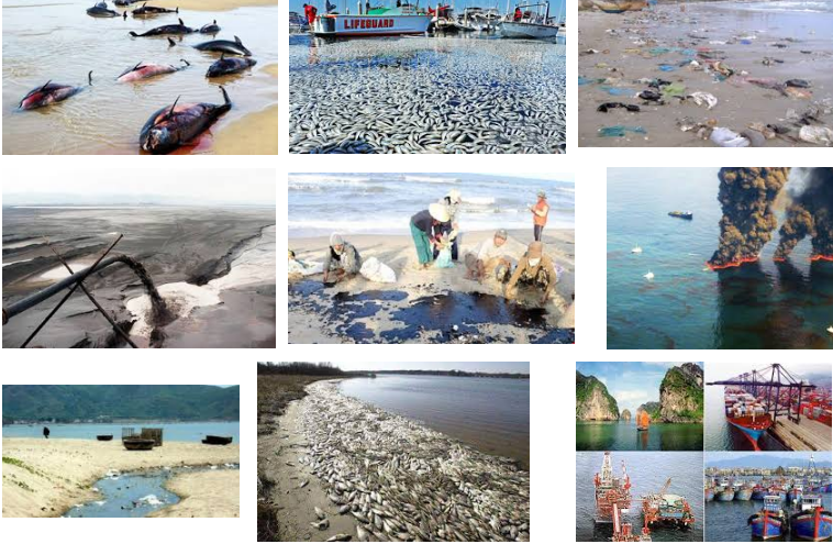Nguyên nhân gây nên ô nhiễm môi trường biển