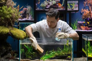 Tần suất thay nước như thế nào là phù hợp