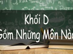 khoi-d-gom-nhung-mon-nao