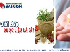 Dược liệu là gì? Vai trò, phân loại và ứng dụng trong đời sống hiện nay