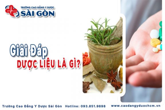 Dược liệu là gì? Vai trò, phân loại và ứng dụng trong đời sống hiện nay