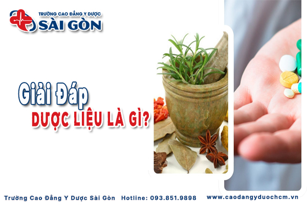 Dược liệu là gì? Vai trò, phân loại và ứng dụng trong đời sống hiện nay